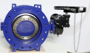 কিভাবে একটি ডবল উদ্ভট প্রজাপতি ভালভ ব্যবহার করবেন?